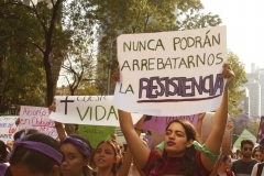 MG_8289-Copiar