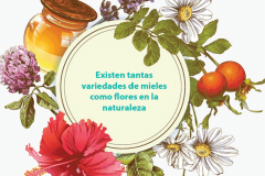 abeja 2