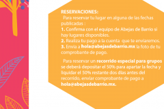 abeja 6